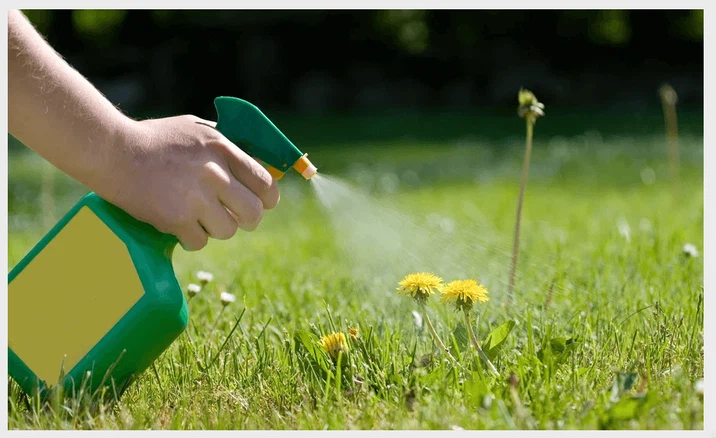 Sodium chlorate application Sodium chlorate application