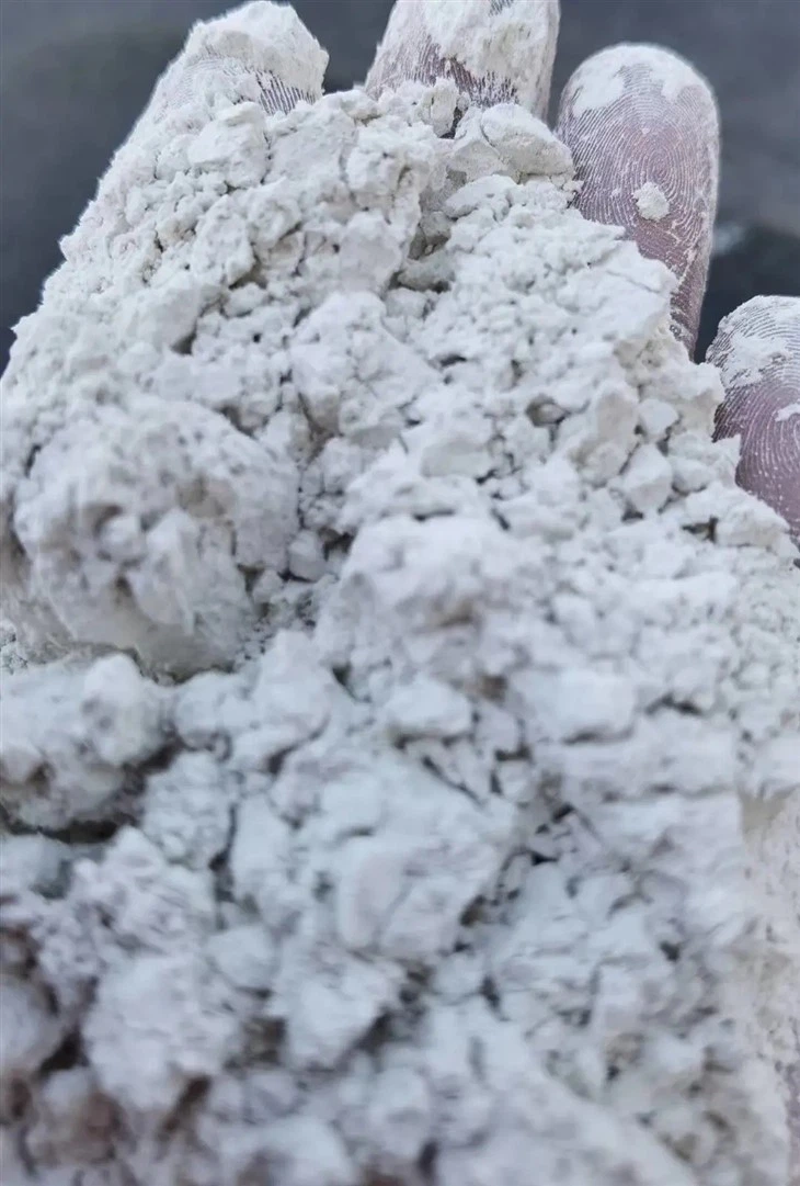 Supply Good Quality Bone Ash CAS 68439-86-1